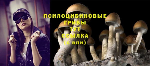 МДПВ Вязники