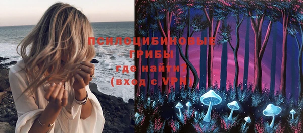 МДПВ Вязники