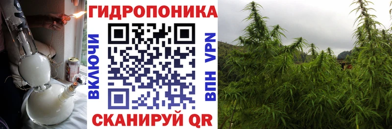 Марихуана Bruce Banner  Купить где  Кушва 